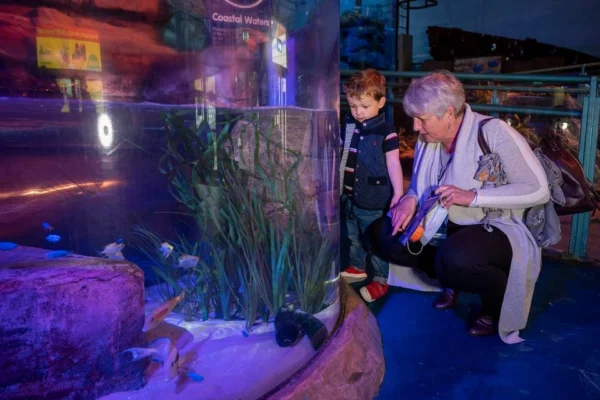 National Sea Life Centre Entrance Ticket