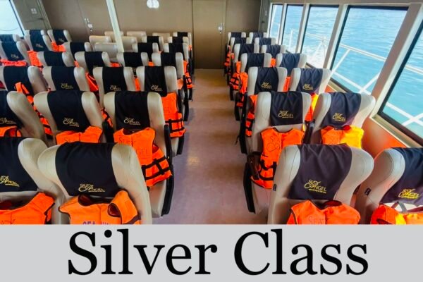 Phi Phi Island Tour (Big Boat) + Economy Seat + Lunch + Shared Transfer
